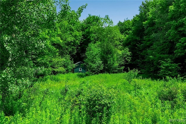 4456 Courtney Highland Dr, Great Valley, NY 14741 - photo 7