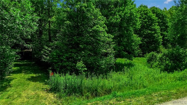 4456 Courtney Highland Dr, Great Valley, NY 14741 - photo 33