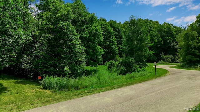 4456 Courtney Highland Dr, Great Valley, NY 14741 - photo 35
