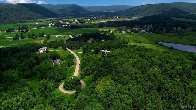 4456 Courtney Highland Dr, Great Valley, NY 14741 - photo 38