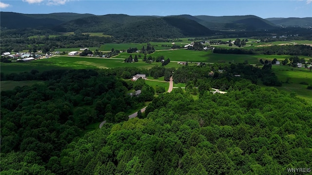 4456 Courtney Highland Dr, Great Valley, NY 14741 - photo 39