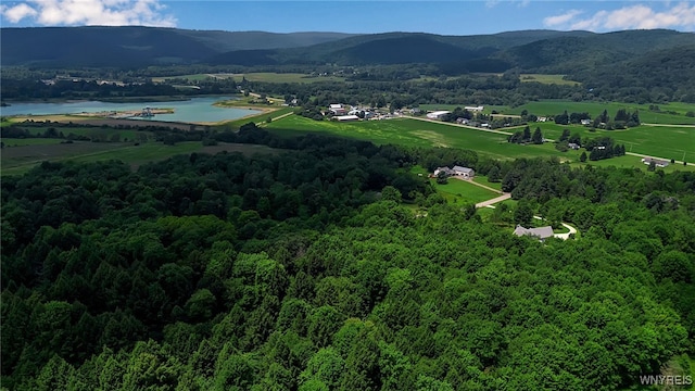 4456 Courtney Highland Dr, Great Valley, NY 14741 - photo 41