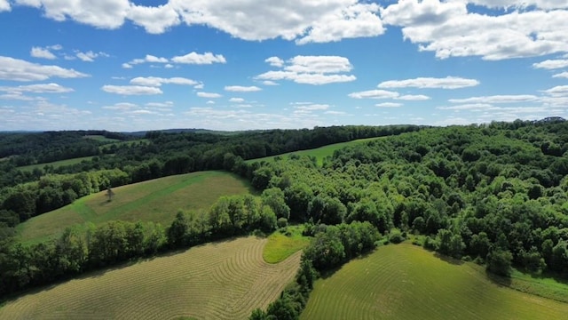 885 County Highway 6, Otego, NY 13825 - photo 29