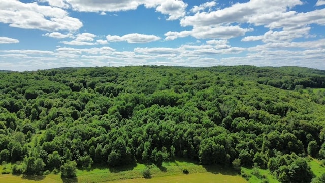 885 County Highway 6, Otego, NY 13825 - photo 30