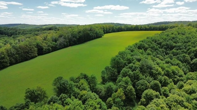 885 County Highway 6, Otego, NY 13825 - photo 31