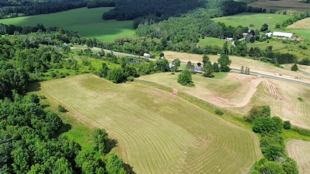 885 County Highway 6, Otego, NY 13825 - photo 32