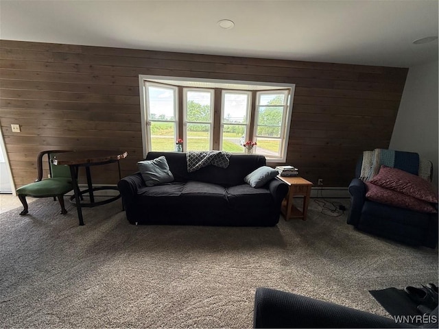 4716 Ford Rd, Elba, NY 14058 - photo 11
