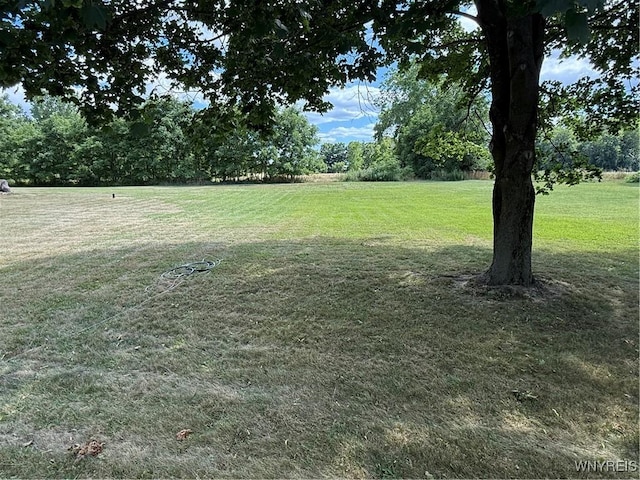 4716 Ford Rd, Elba, NY 14058 - photo 24