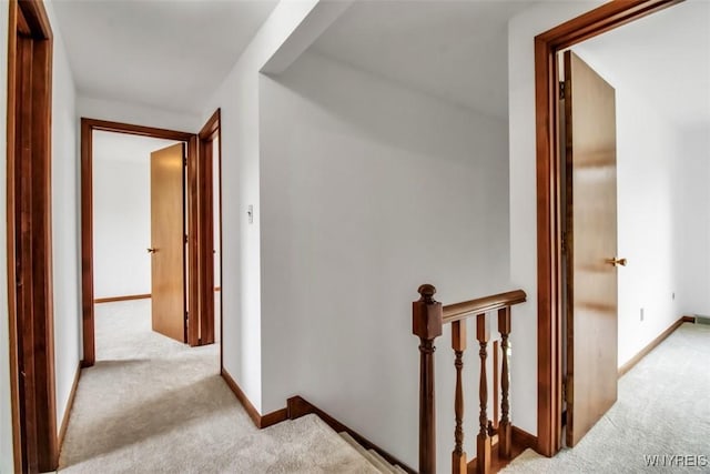 63 Old Orchard Ln, Orchard Park, NY 14127 - photo 20