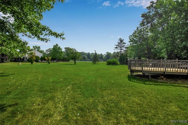 63 Old Orchard Ln, Orchard Park, NY 14127 - photo 16