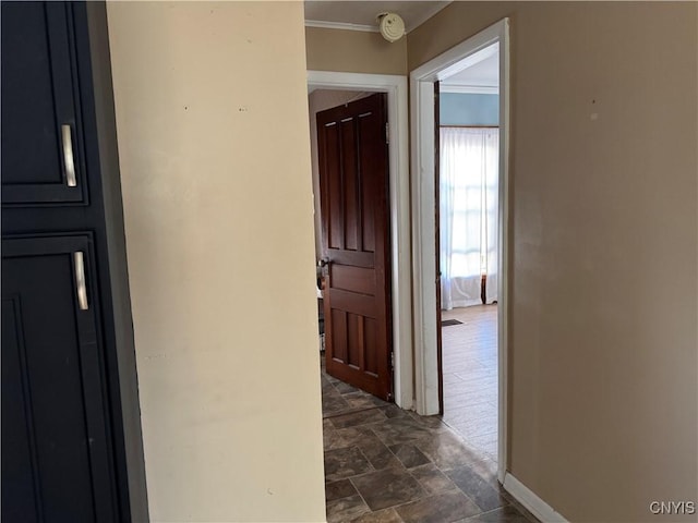 20427 Sunrise Ave, Orleans, NY 13656 - photo 43