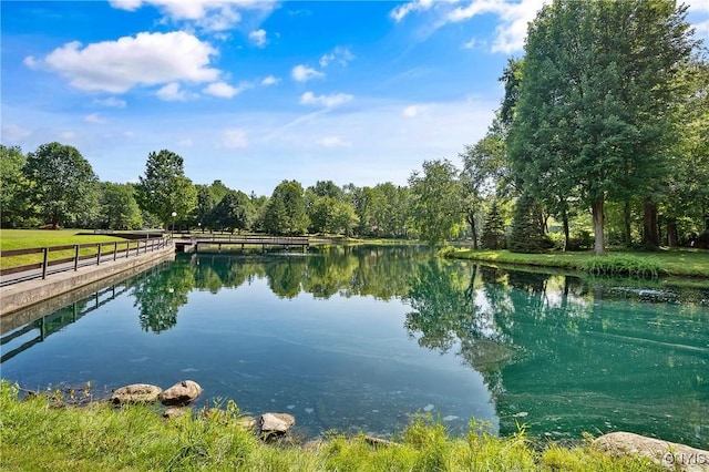 8751 Blue Heron Cir, Lysander, NY 13027 - photo 46