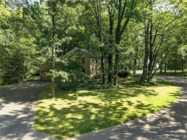 8751 Blue Heron Cir, Lysander, NY 13027 - photo 44