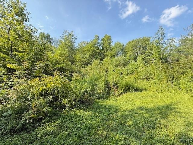 2936 Center Rd, Freetown, NY 13040 - photo 26