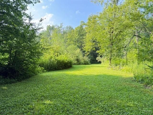 2936 Center Rd, Freetown, NY 13040 - photo 27
