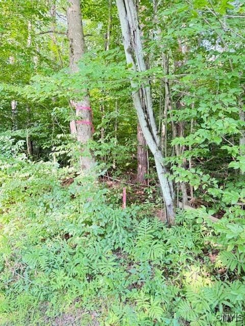 2936 Center Rd, Freetown, NY 13040 - photo 29