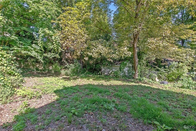 124 Cumberland Ave, Syracuse, NY 13210 - photo 34