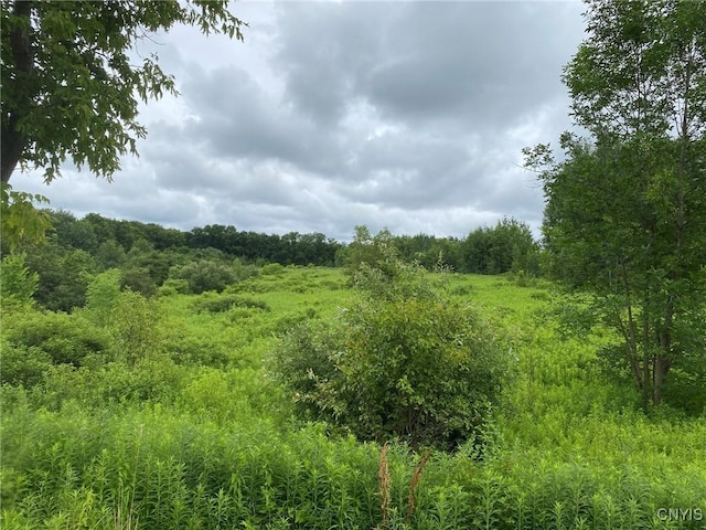 2836 US Route 11, Mexico, NY 13131 - photo 1