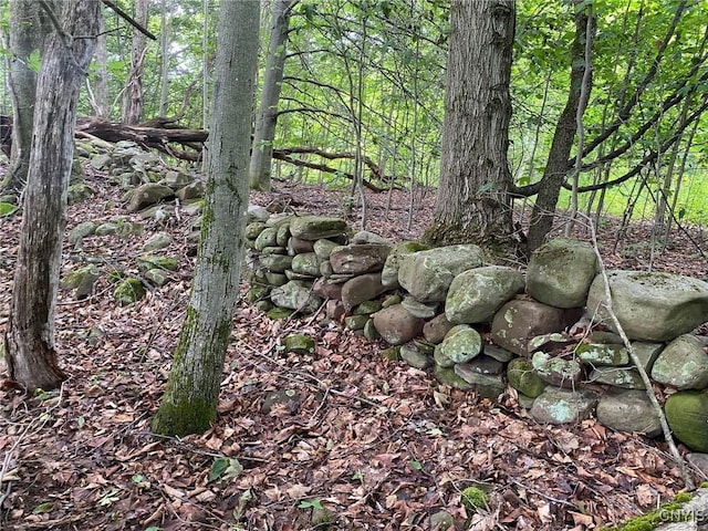 2836 US Route 11, Mexico, NY 13131 - photo 2