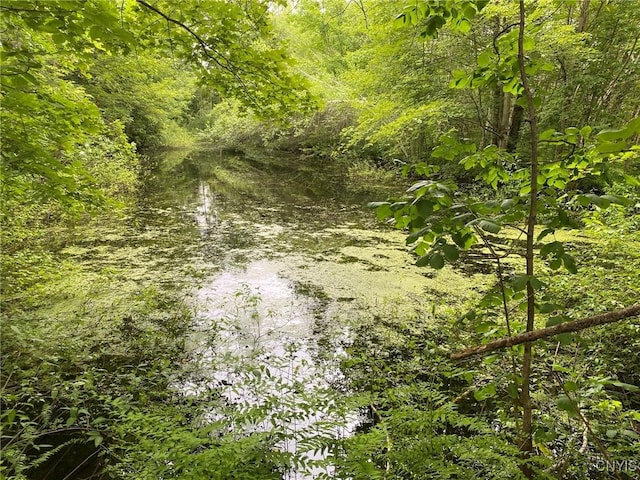 2836 US Route 11, Mexico, NY 13131 - photo 3