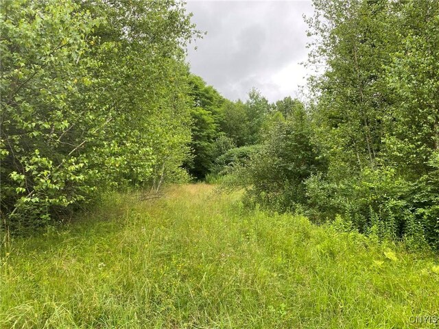 2836 US Route 11, Mexico, NY 13131 - photo 4