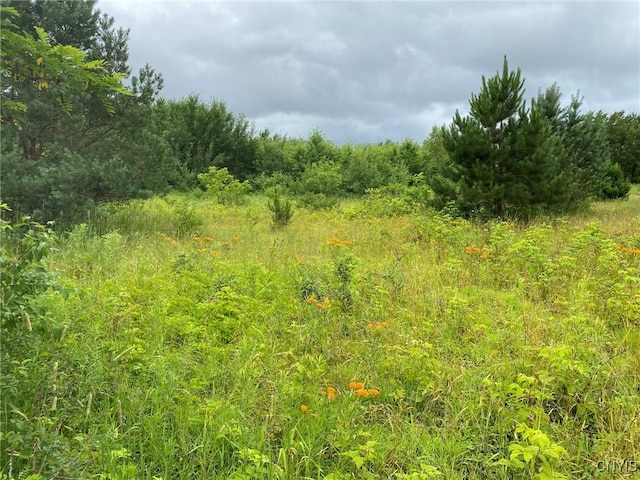 2836 US Route 11, Mexico, NY 13131 - photo 6