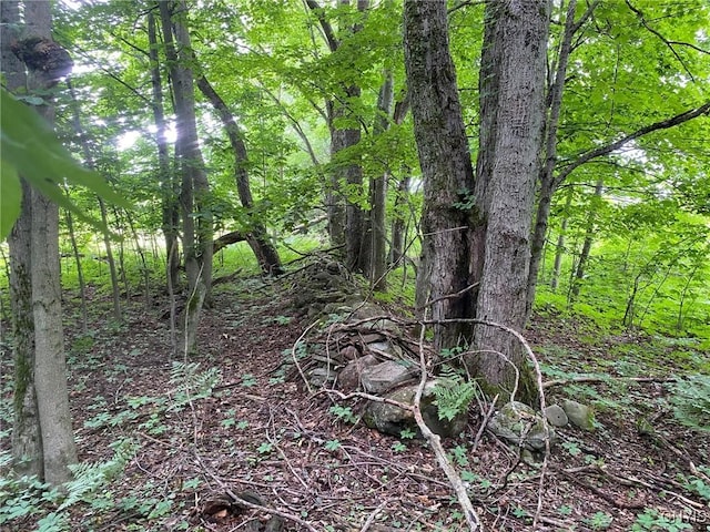 2836 US Route 11, Mexico, NY 13131 - photo 9