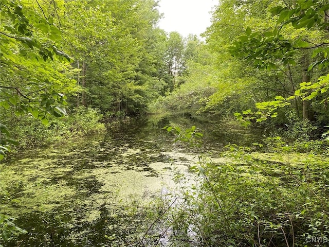 2836 US Route 11, Mexico, NY 13131 - photo 10