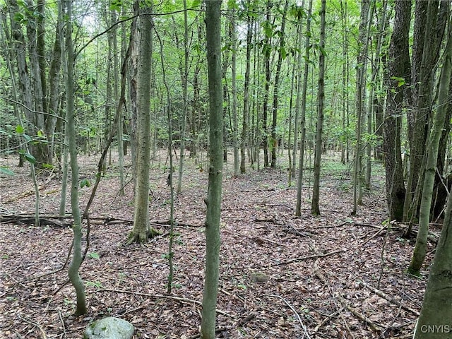 2836 US Route 11, Mexico, NY 13131 - photo 12