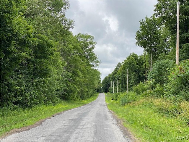 2836 US Route 11, Mexico, NY 13131 - photo 47