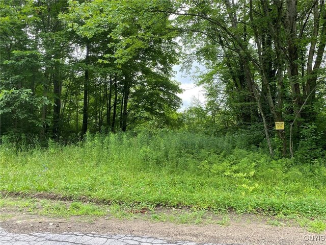 2836 US Route 11, Mexico, NY 13131 - photo 48