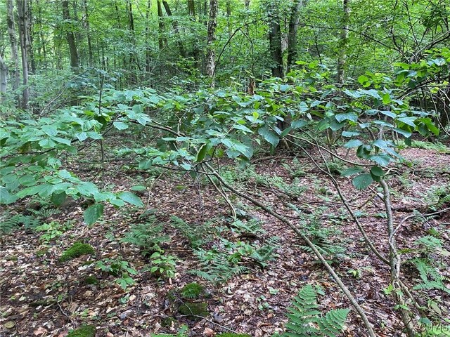 2836 US Route 11, Mexico, NY 13131 - photo 31