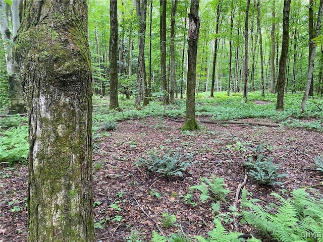 2836 US Route 11, Mexico, NY 13131 - photo 32