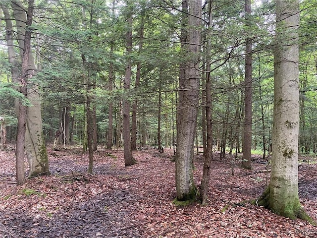 2836 US Route 11, Mexico, NY 13131 - photo 33