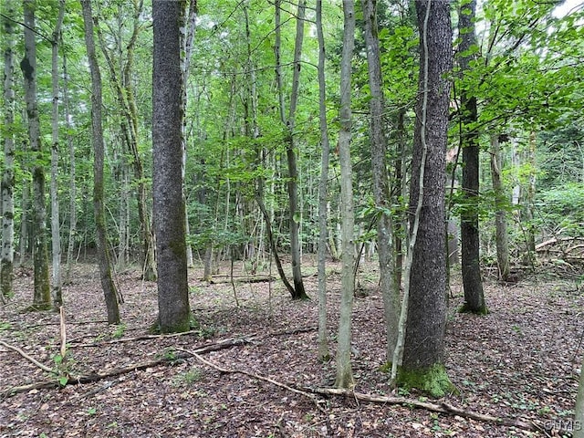 2836 US Route 11, Mexico, NY 13131 - photo 35