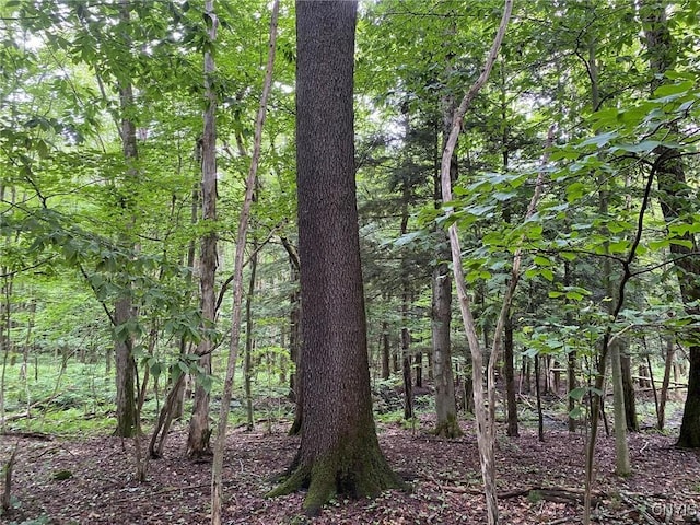 2836 US Route 11, Mexico, NY 13131 - photo 37
