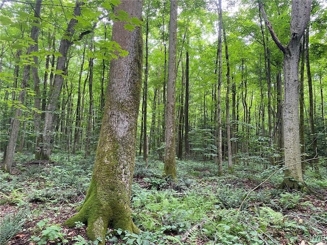 2836 US Route 11, Mexico, NY 13131 - photo 39