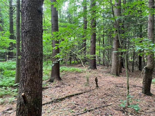 2836 US Route 11, Mexico, NY 13131 - photo 40