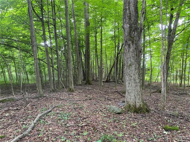 2836 US Route 11, Mexico, NY 13131 - photo 41