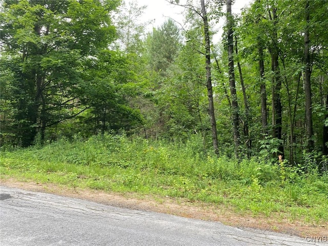 2836 US Route 11, Mexico, NY 13131 - photo 43
