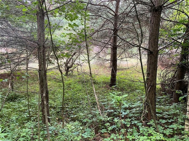 2836 US Route 11, Mexico, NY 13131 - photo 44