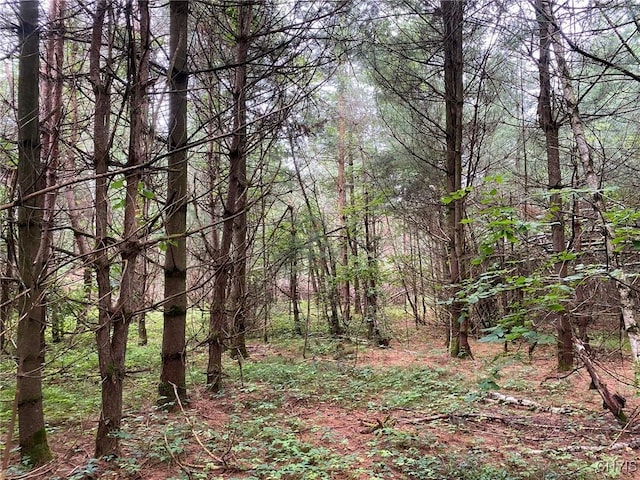 2836 US Route 11, Mexico, NY 13131 - photo 45