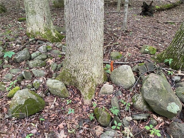 2836 US Route 11, Mexico, NY 13131 - photo 46