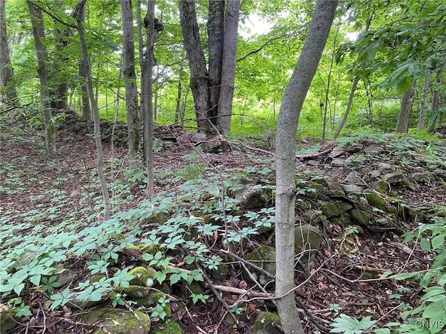 2836 US Route 11, Mexico, NY 13131 - photo 16