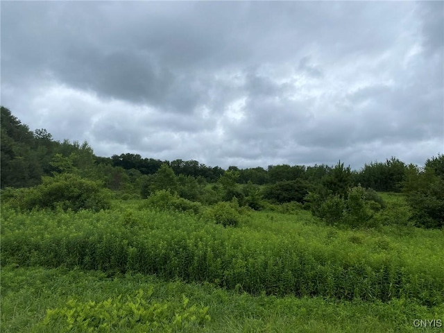 2836 US Route 11, Mexico, NY 13131 - photo 18