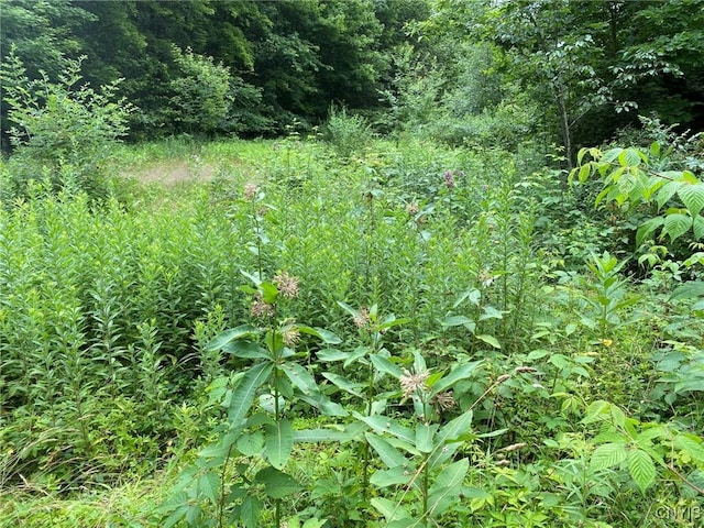 2836 US Route 11, Mexico, NY 13131 - photo 19
