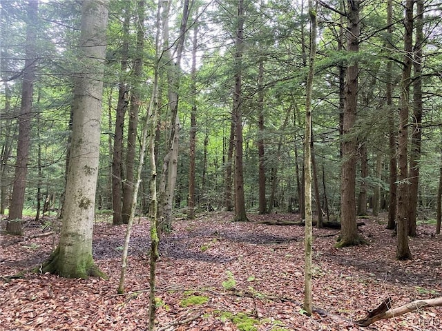 2836 US Route 11, Mexico, NY 13131 - photo 20