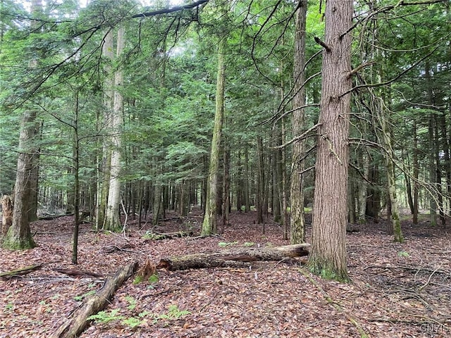 2836 US Route 11, Mexico, NY 13131 - photo 22
