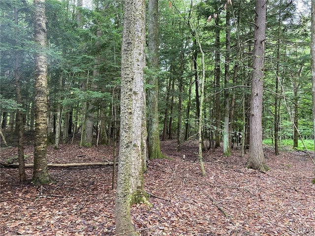 2836 US Route 11, Mexico, NY 13131 - photo 24