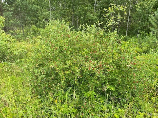 2836 US Route 11, Mexico, NY 13131 - photo 25